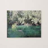 Manatees Swimming Florida Blue Springs State Park Legpuzzel (Horizontaal)