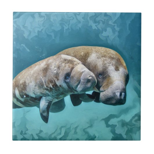 Manatees Tegeltje (Voorkant)
