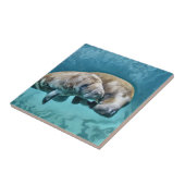 Manatees Tegeltje (Zijkant)