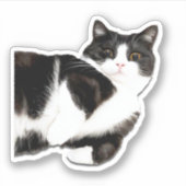 Manchester "Hoi!" Sticker (Voorkant)