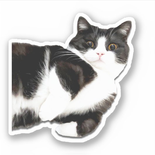 Manchester "Hoi!" Sticker (Voorkant)