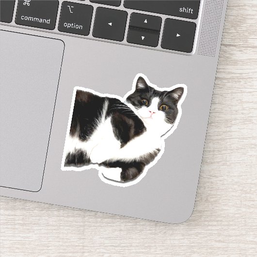 Manchester "Hoi!" Sticker (Detail)