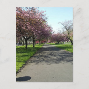 Manchester in Spring Briefkaart