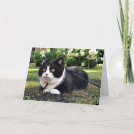 Manchester op natuur kaart