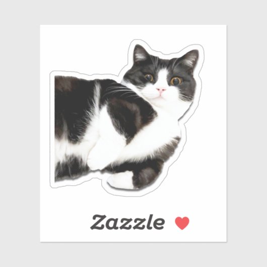 Manchester "Salut !" Autocollant (Feuille)