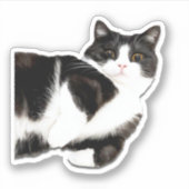 Manchester "Salut !" Autocollant (Devant)