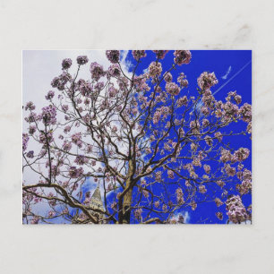 Manchester Spring Briefkaart