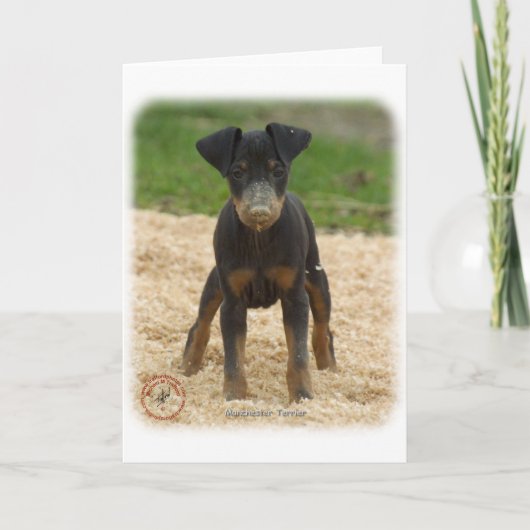 Manchester Terrier 9B082D-03 Kaart (Voorkant)