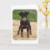 Manchester Terrier 9B082D-03 Kaart (Gele Bloem)