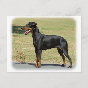 Manchester Terrier Briefkaart