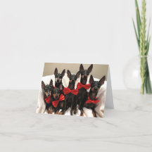 Manchester Terrier Card