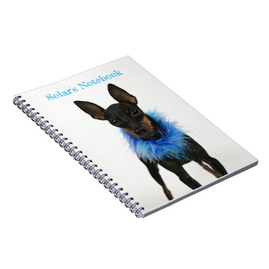 Manchester Terrier Carnet bleu (Côté Droit)