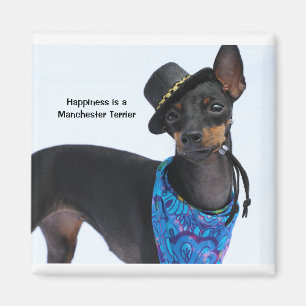 Manchester Terrier Happiness Magnet