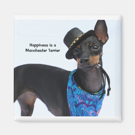 Manchester Terrier Happiness Magnet Magneet (Voorkant)