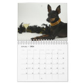 Manchester Terrier Kleine Kalender (Jan 2026)