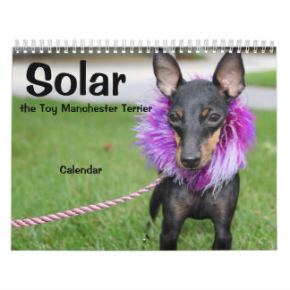 Manchester Terrier Medium 2021 Calendar A Kalender