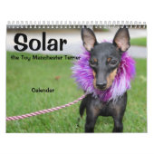 Manchester Terrier Medium 2021 Calendrier A (Protection)