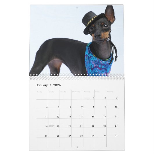 Manchester Terrier Medium 2021 Calendrier A (Jan 2026)