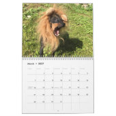 Manchester Terrier Medium 2021 Calendrier A (Mar 2027)