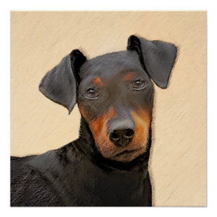 Manchester Terrier schilderij originele dierlijke  Perfect Poster
