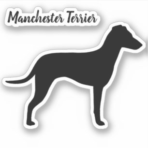 Manchester Terrier Silhouet met natuurlijke oren Sticker