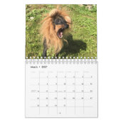 Manchester Terrier Small 2021 Agenda A Kalender (Mar 2027)