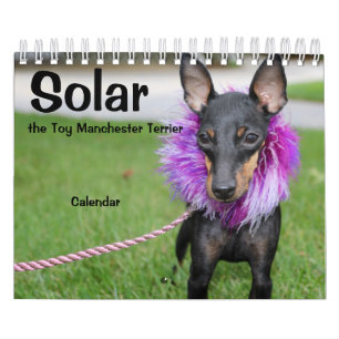 Manchester Terrier Small 2021 Agenda A Kalender
