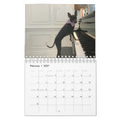 Manchester Terrier Small 2021 Calendrier A (Feb 2027)