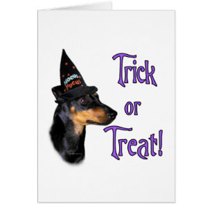 Manchester Terrier Trick