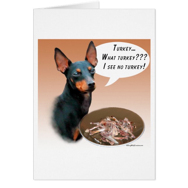 Manchester Terrier Turquie (Devant)