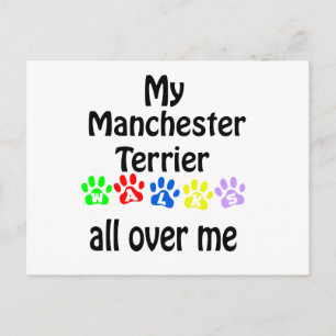 Manchester Terrier wandelingen ontwerp Briefkaart