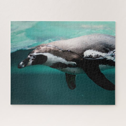 Manchot qui Nage, Puzzle (Horizontal)