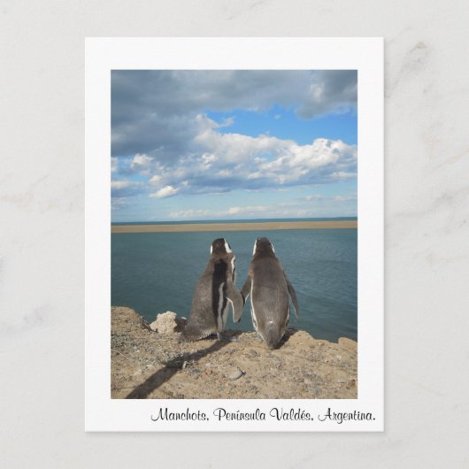 Manchots Briefkaart (Voorkant)