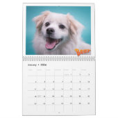 Mancini's slaapwereld 2020 - kalender (Jan 2026)