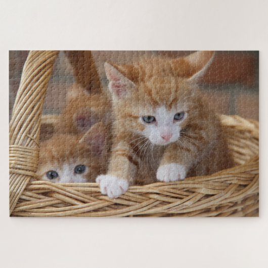 mand kittens puzzel legpuzzel (Horizontaal)