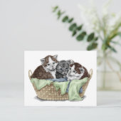Mand met Kittens Briefkaart (Staand voorkant)