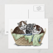 Mand met Kittens Briefkaart (Voorkant / Achterkant)