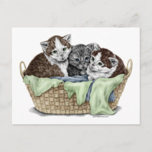 Mand met Kittens Briefkaart