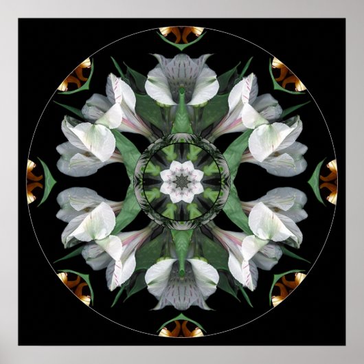 Mandala #06 poster (Voorkant)