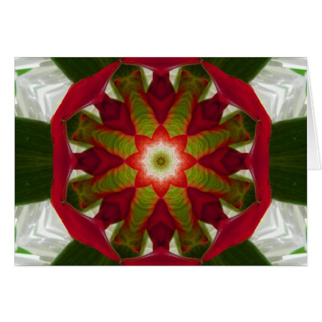 Mandala à fleurs tropicales (Devant horizontal)