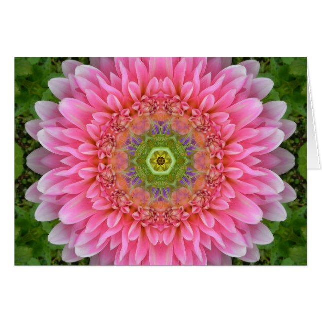 Mandala de guérison rose Dahlia (Devant horizontal)