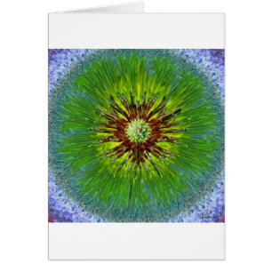 Mandala de rayon de soleil de Ponderosa