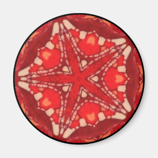 Mandala Fractal Arco Iris Estrella Flor Arte Iman Magneet