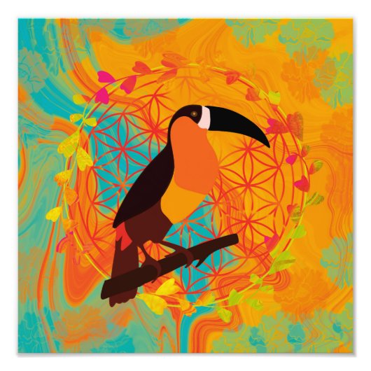 Mandala vogel foto afdruk (Voorkant)