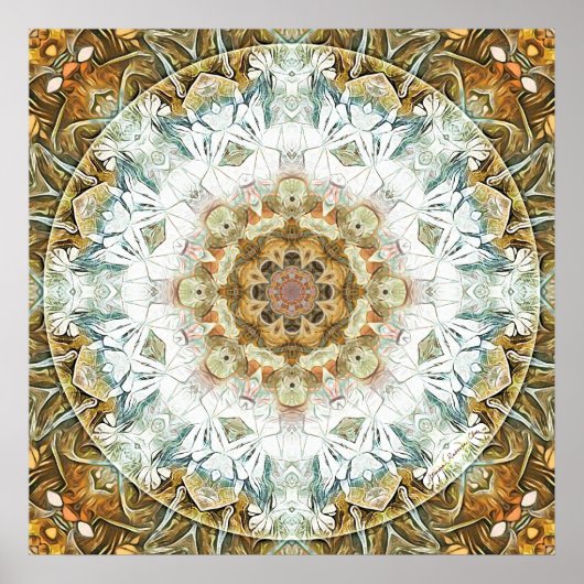 Mandalas voor Transition 11 Poster (Voorkant)