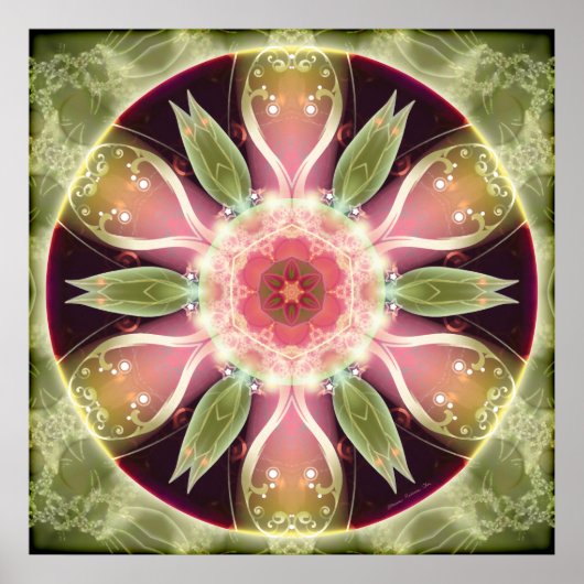 Mandalas voor Transition 22 Poster (Voorkant)