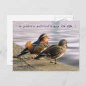 Mandarijn ducks togertherness briefkaart (Voorkant / Achterkant)