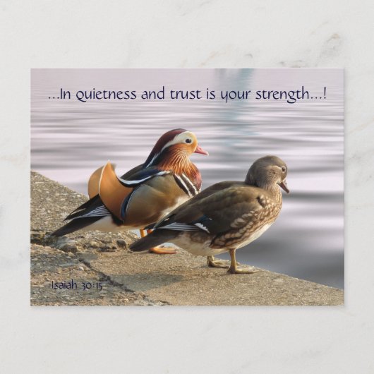 Mandarijn ducks togertherness briefkaart (Voorkant)