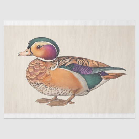  Mandarijn Eend Ornithologie Decoupage Print Tissuepapier (Voorkant)
