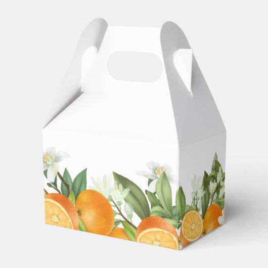 Mandarijn Sinaasappel Waterverf Bruiloft Bedankdoosjes (Achterkant)